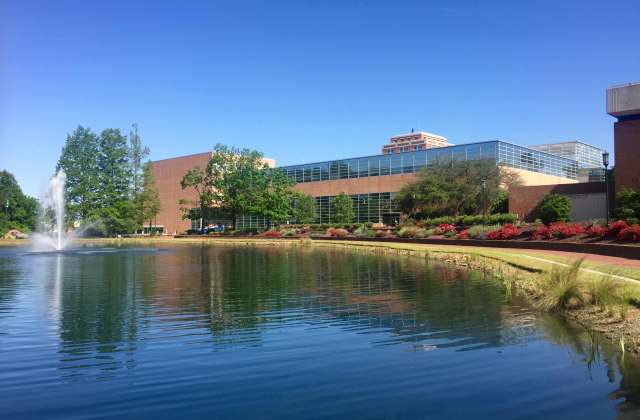 UNC Charlotte