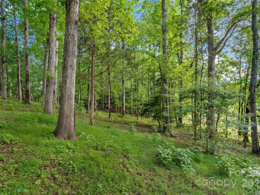 4035 Big Island Road, Rutherfordton, NC 28139.  MLS# CAR4138914, YatesRealty ID 100. 