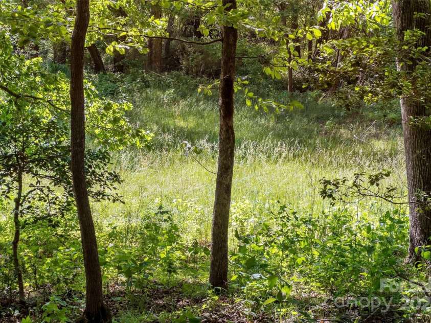 4035 Big Island Road, Rutherfordton, NC 28139.  MLS# CAR4138914, YatesRealty ID 100. 