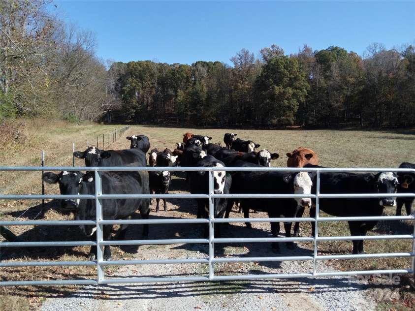 4035 Big Island Road, Rutherfordton, NC 28139.  MLS# CAR4138914, YatesRealty ID 100. 