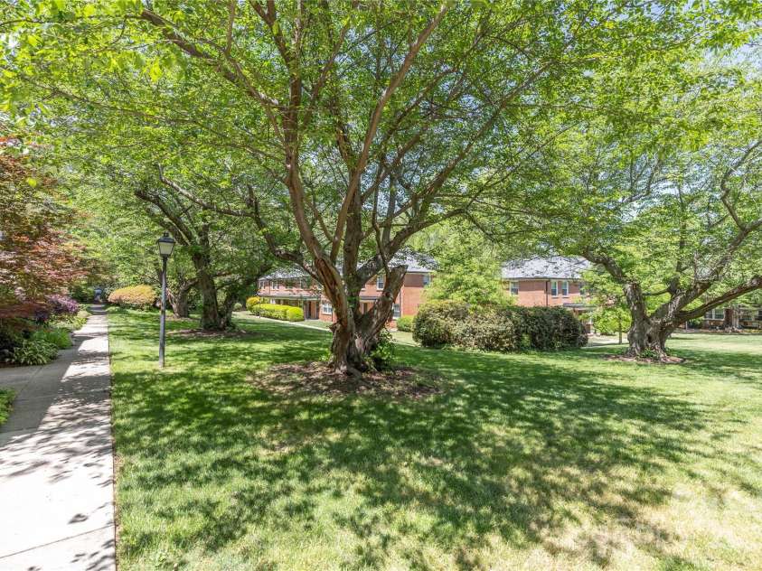 212 Laurel Avenue, Charlotte, NC 28207.  MLS# CAR4250779, YatesRealty ID 10035. 