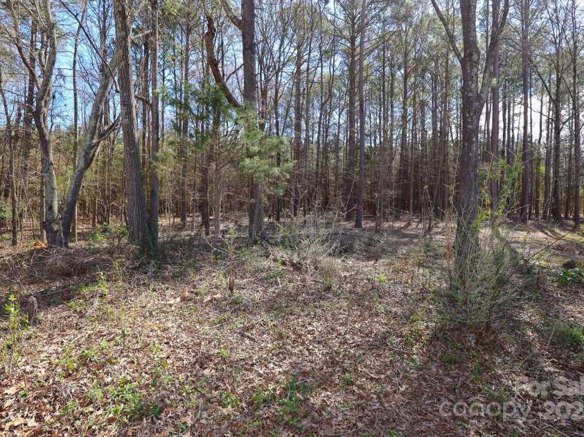 517 Roberts Avenue, York, SC 29745.  MLS# CAR4234730, YatesRealty ID 10052. Backyard