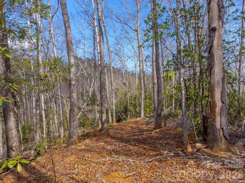 254 Ivory Lane, Sylva, NC 28779.  MLS# CAR4411936, YatesRealty ID 10066. 