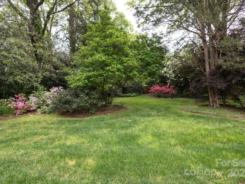 1943 Wendover Road, Charlotte, NC 28211.  MLS# CAR4247717, YatesRealty ID 10072. Gorgeous landscaping