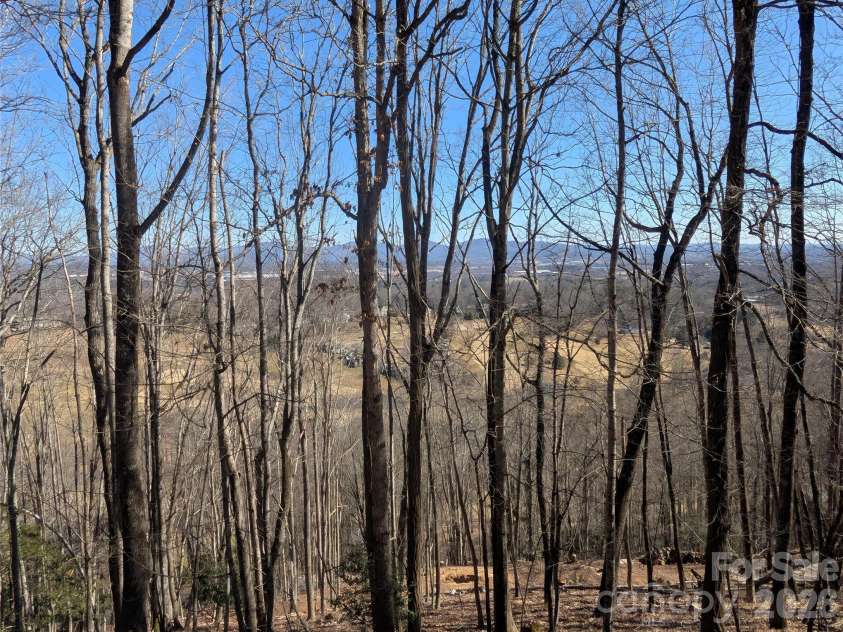 4 Wild Dogwood Trail, Mills River, NC 28759.  MLS# CAR4368433, YatesRealty ID 10072. 
