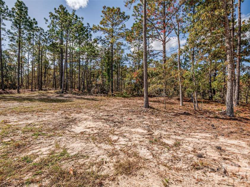 8684 Teals Mill Road, Cheraw, SC 29520.  MLS# CAR4388671, YatesRealty ID 10092. Backyard