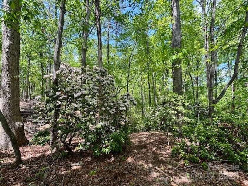 3855 Peniel Road, Tryon, NC 28782.  MLS# CAR4238952, YatesRealty ID 10106. 