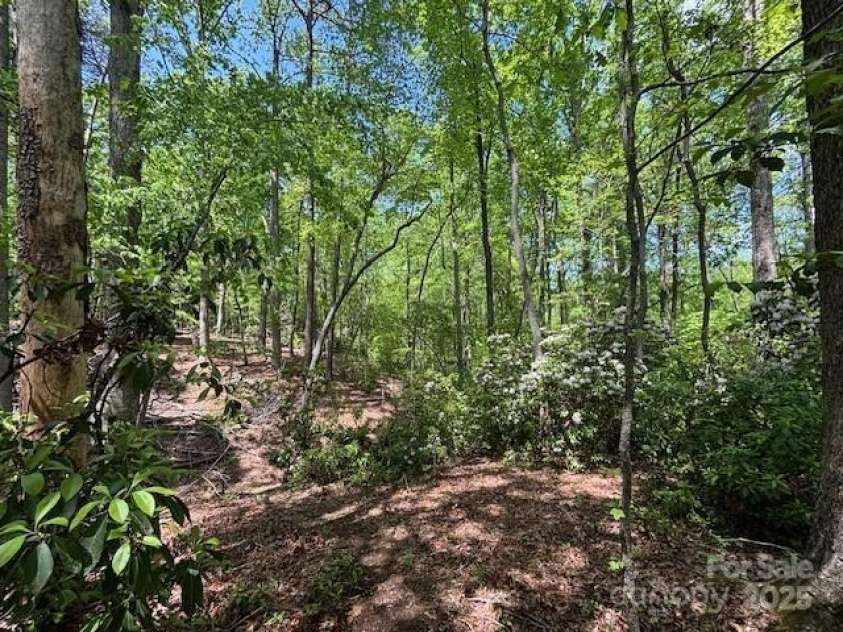 3855 Peniel Road, Tryon, NC 28782.  MLS# CAR4238952, YatesRealty ID 10106. 