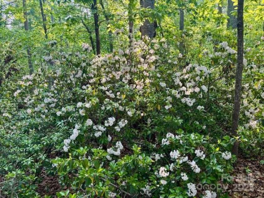 3855 Peniel Road, Tryon, NC 28782.  MLS# CAR4238952, YatesRealty ID 10106. 