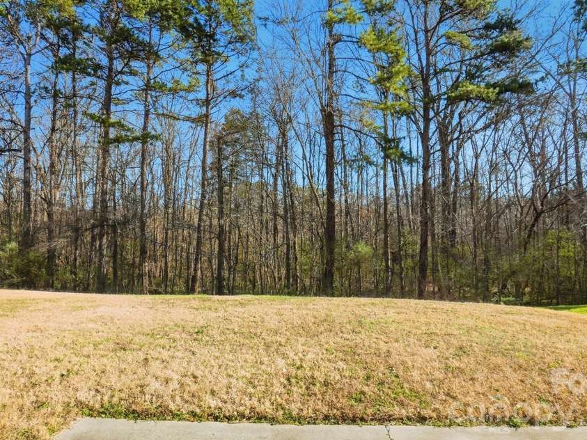 3043 Streamlet Way, Monroe, NC 28110.  MLS# CAR4334016, YatesRealty ID 1013. Backyard Views (Winter)