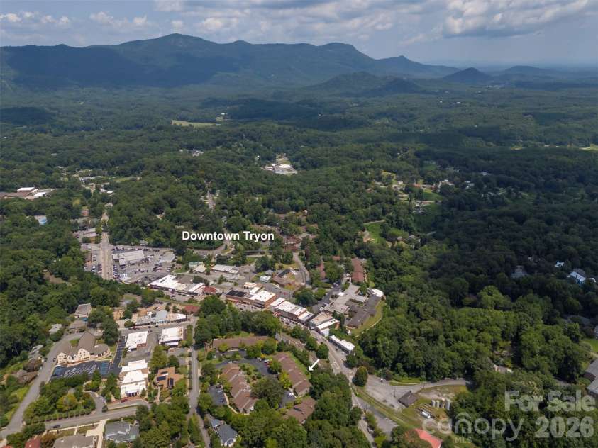 77 Chestnut Street, Tryon, NC 28782.  MLS# CAR4414058, YatesRealty ID 1015. 
