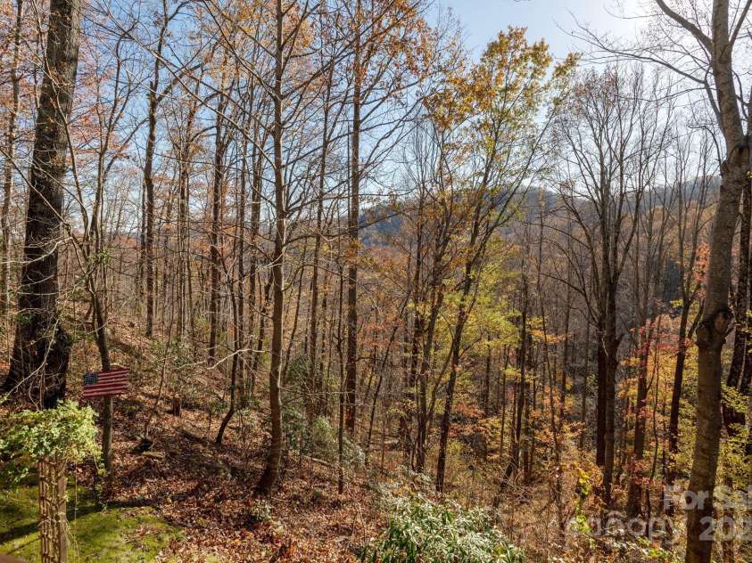 48 & 50 Wild Turkey Run, Black Mountain, NC 28711.  MLS# CAR4318809, YatesRealty ID 1016. 