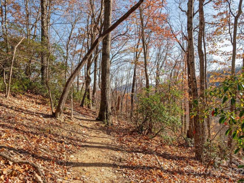 48 & 50 Wild Turkey Run, Black Mountain, NC 28711.  MLS# CAR4318809, YatesRealty ID 1016. 