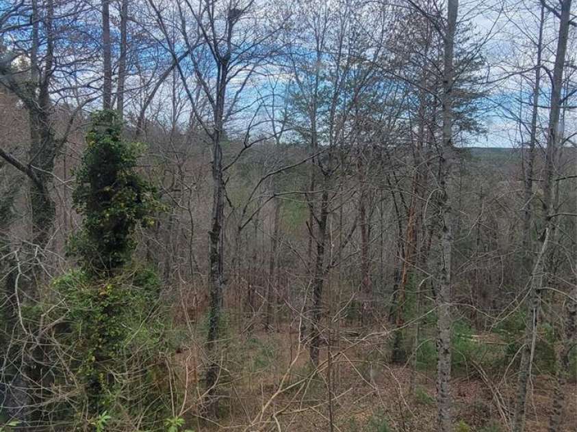 7882 Kinglet Road, Connelly Springs, NC 28612.  MLS# CAR4336595, YatesRealty ID 10167. 