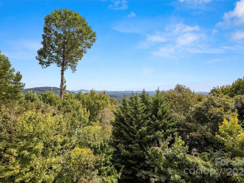 301 Governors Drive, Hendersonville, NC 28791.  MLS# CAR4251149, YatesRealty ID 10194. View from Main Level Deck