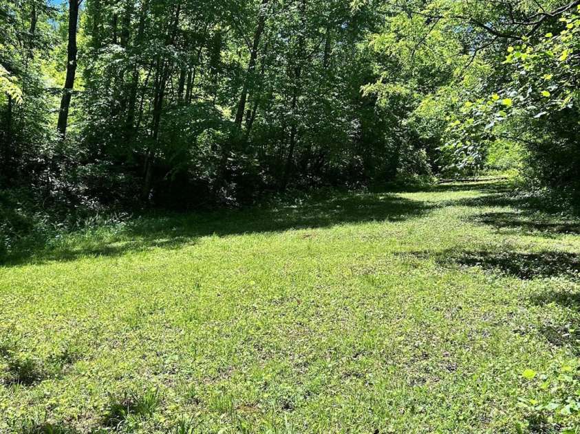 611 Johnson Hollow Road, Bakersville, NC 28705.  MLS# CAR4262666, YatesRealty ID 102. 