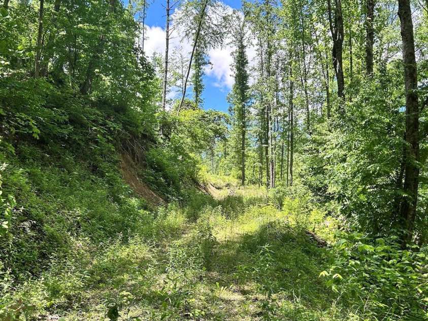 611 Johnson Hollow Road, Bakersville, NC 28705.  MLS# CAR4262666, YatesRealty ID 102. 