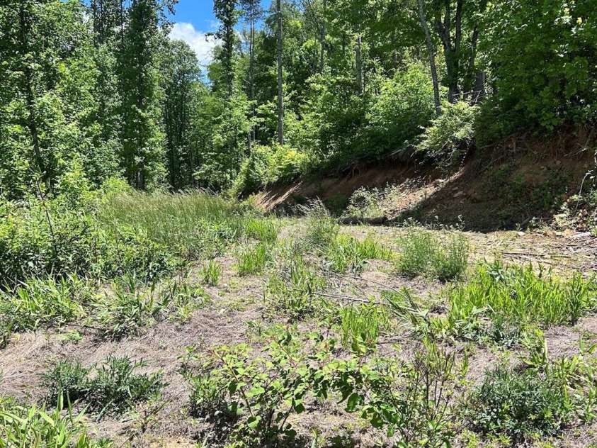 611 Johnson Hollow Road, Bakersville, NC 28705.  MLS# CAR4262666, YatesRealty ID 102. 