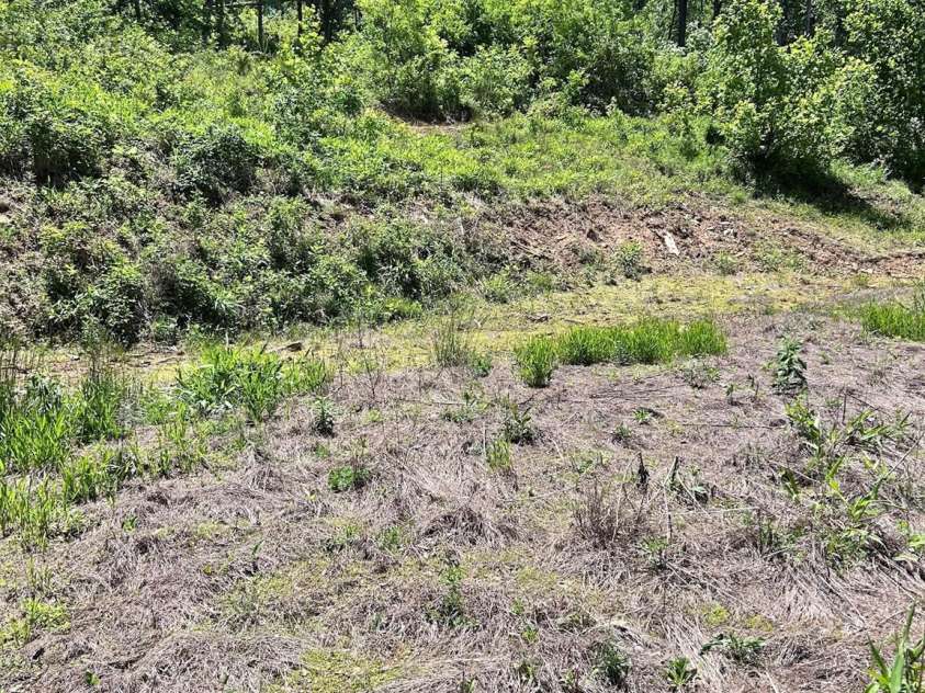 611 Johnson Hollow Road, Bakersville, NC 28705.  MLS# CAR4262666, YatesRealty ID 102. 