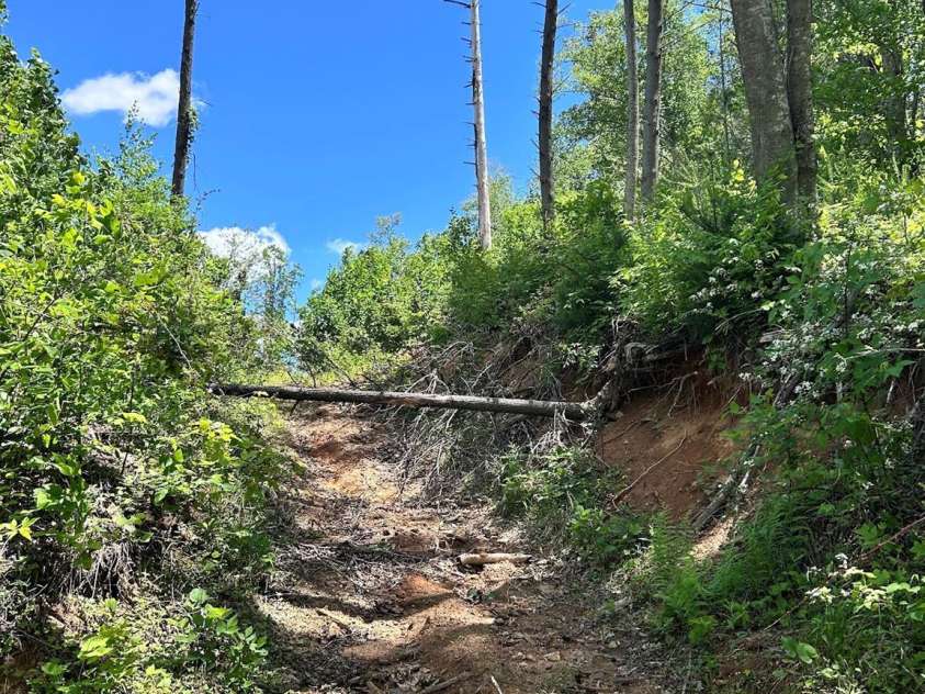 611 Johnson Hollow Road, Bakersville, NC 28705.  MLS# CAR4262666, YatesRealty ID 102. 