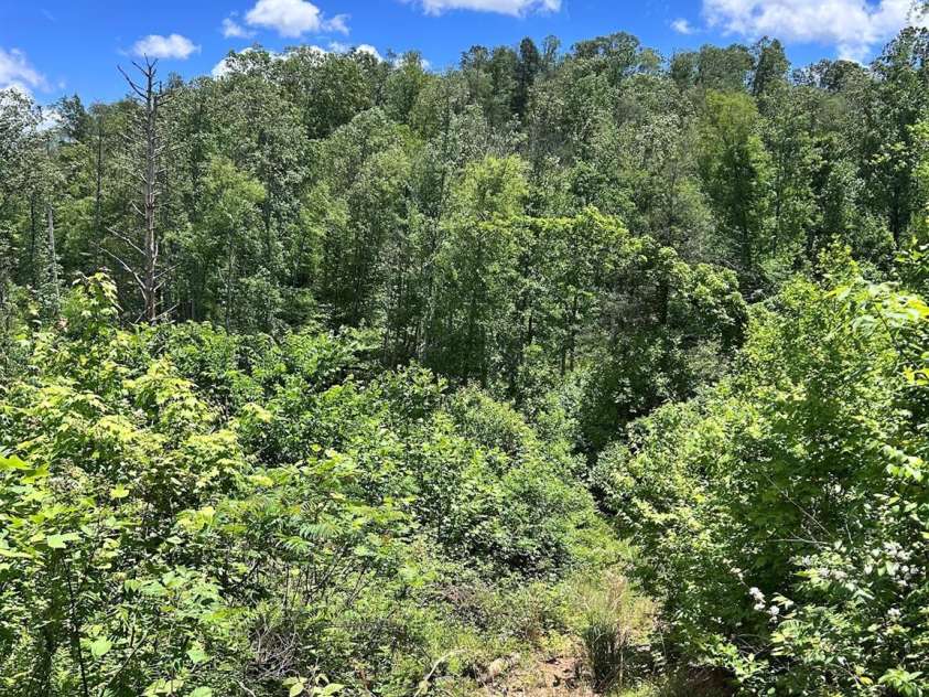 611 Johnson Hollow Road, Bakersville, NC 28705.  MLS# CAR4262666, YatesRealty ID 102. 