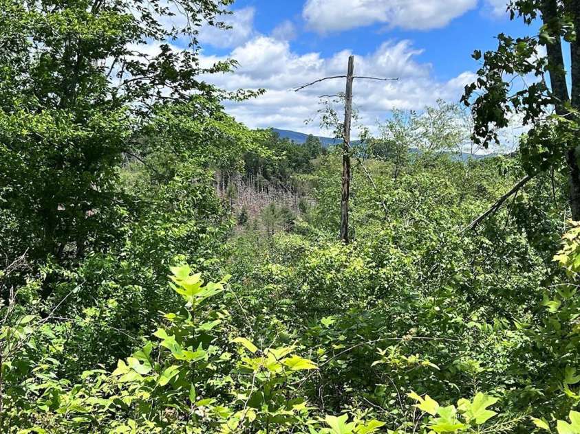 611 Johnson Hollow Road, Bakersville, NC 28705.  MLS# CAR4262666, YatesRealty ID 102. 