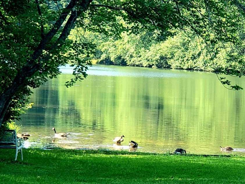 150 Navaho Trail, Rutherfordton, NC 28139.  MLS# CAR4279010, YatesRealty ID 1020. 