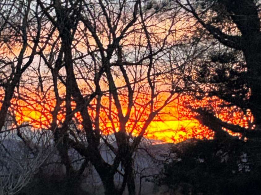 89 Braddock Way, Asheville, NC 28803.  MLS# CAR4217900, YatesRealty ID 1023. 