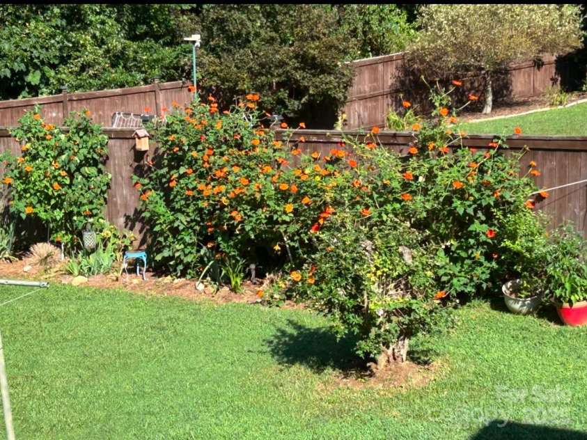 89 Braddock Way, Asheville, NC 28803.  MLS# CAR4217900, YatesRealty ID 1023. Lovely summer flower gardens