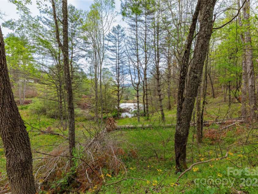 380 Echo Hill Drive, Green Mountain, NC 28740.  MLS# CAR4250746, YatesRealty ID 10285. 