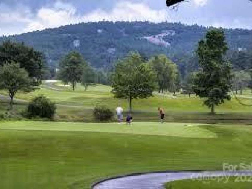 134 McDaniel Court, Lake Lure, NC 28746.  MLS# CAR4218325, YatesRealty ID 1029. 