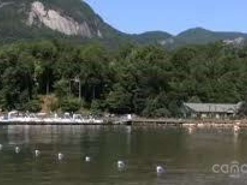 134 McDaniel Court, Lake Lure, NC 28746.  MLS# CAR4218325, YatesRealty ID 1029. 