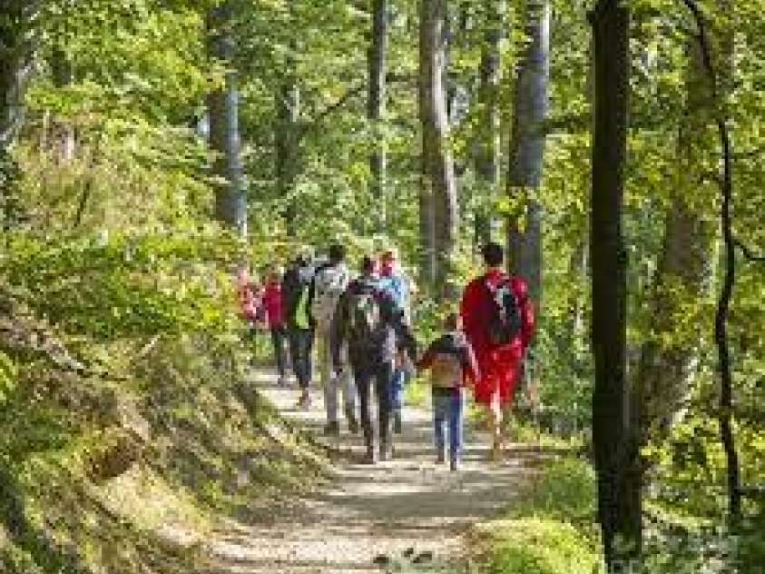 134 McDaniel Court, Lake Lure, NC 28746.  MLS# CAR4218325, YatesRealty ID 1029. 