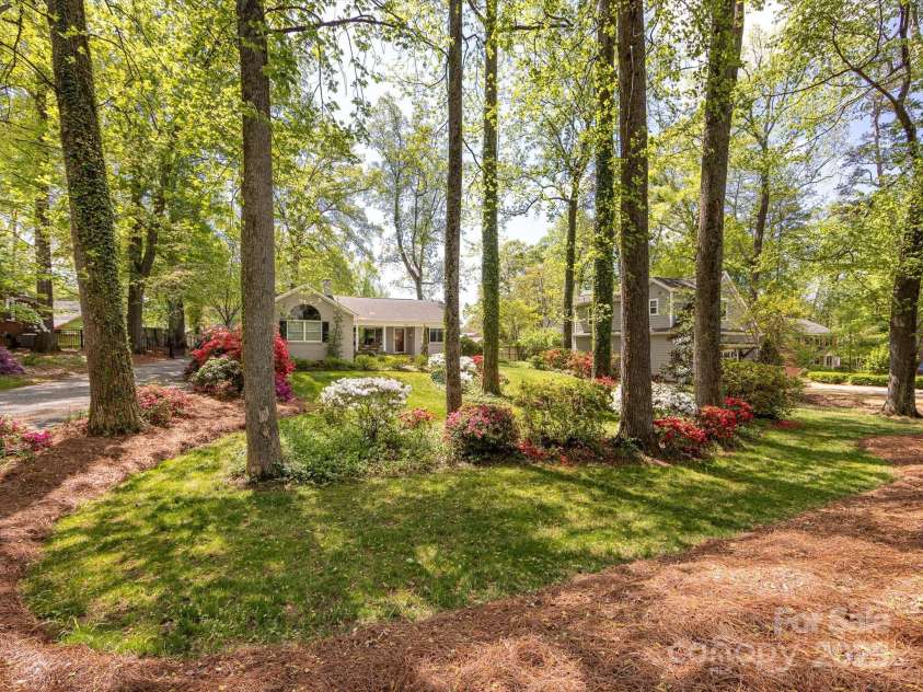 1310 Woodland Drive, Charlotte, NC 28205.  MLS# CAR4244201, YatesRealty ID 10326. 
