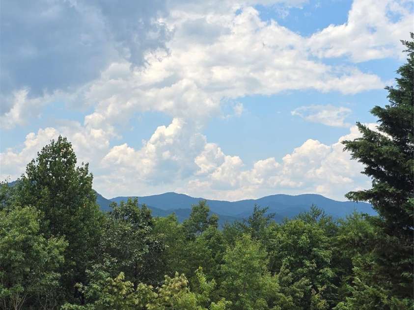 290 Boland Drive, Lake Lure, NC 28746.  MLS# CAR4161746, YatesRealty ID 10330. 