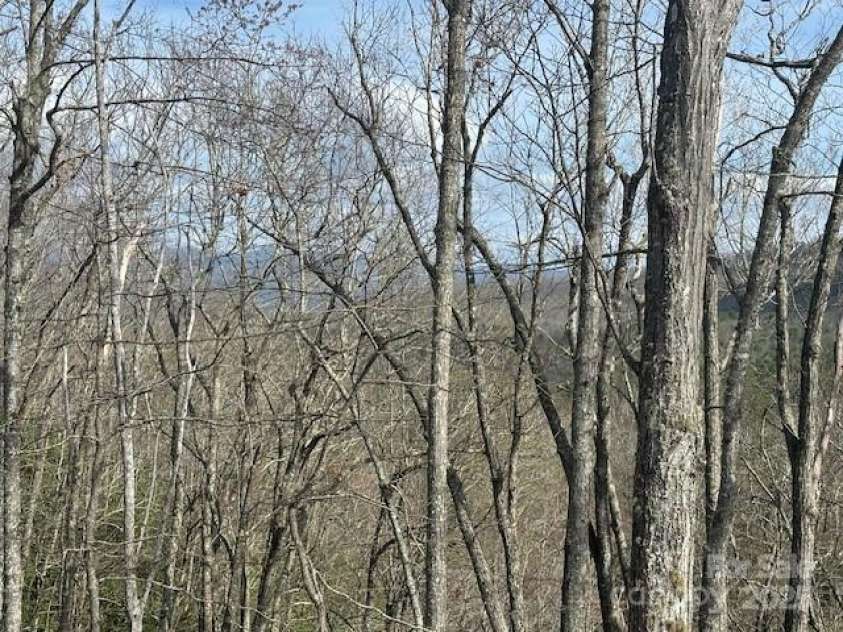 371 Falls View Drive, Pisgah Forest, NC 28768.  MLS# CAR4242719, YatesRealty ID 10349. 