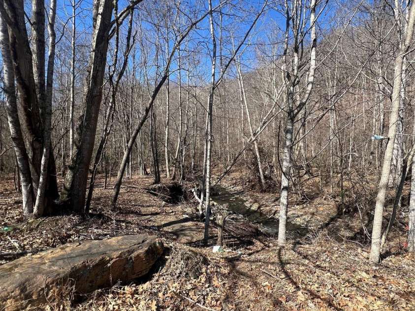 1381 Bear Creek Road, Bakersville, NC 28705.  MLS# CAR4227887, YatesRealty ID 10351. 