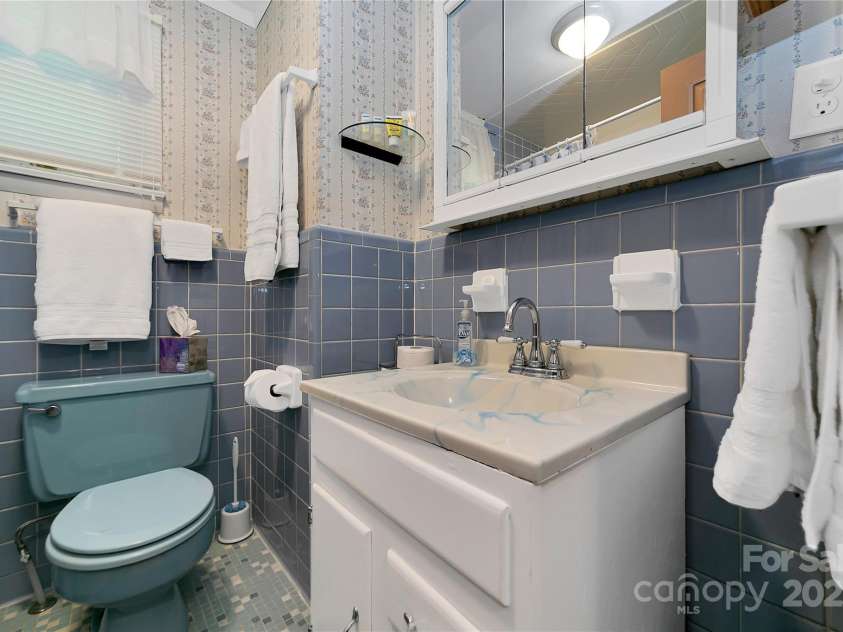 176 Lake Sega Road, Brevard, NC 28712.  MLS# CAR4288679, YatesRealty ID 10354. 