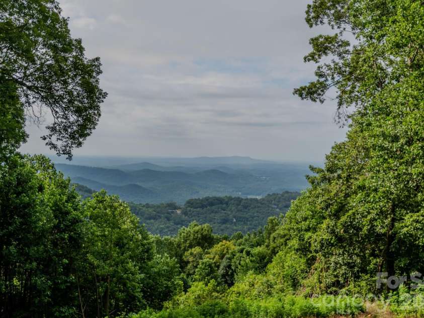 42 Wild Magnolia Way, Zirconia, NC 28790.  MLS# CAR4335152, YatesRealty ID 10368. 