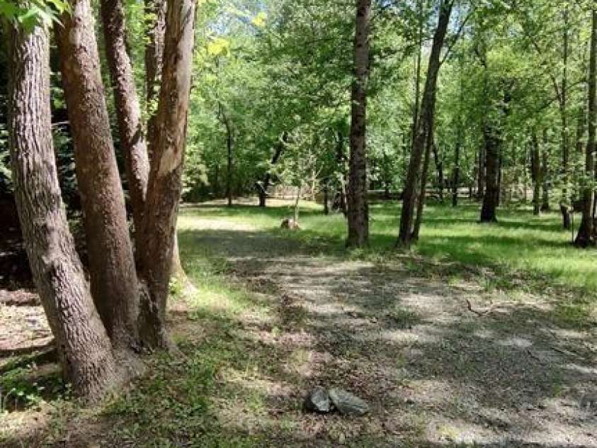 105 Cranberry Lane, Mooresboro, NC 28114.  MLS# CAR4313319, YatesRealty ID 1037. 