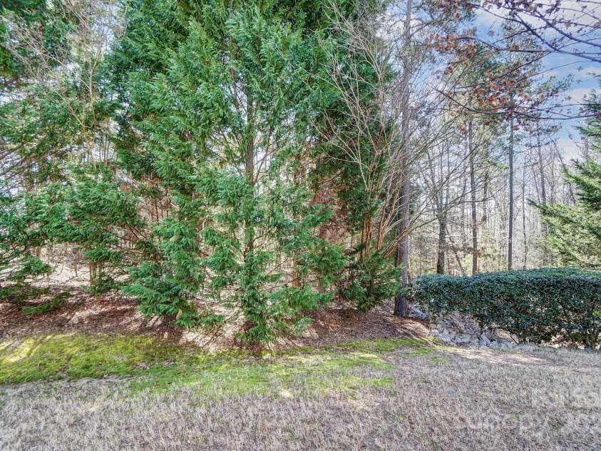 41108 Calla Lily Street, Fort Mill, SC 29707.  MLS# CAR4234054, YatesRealty ID 10415. 
