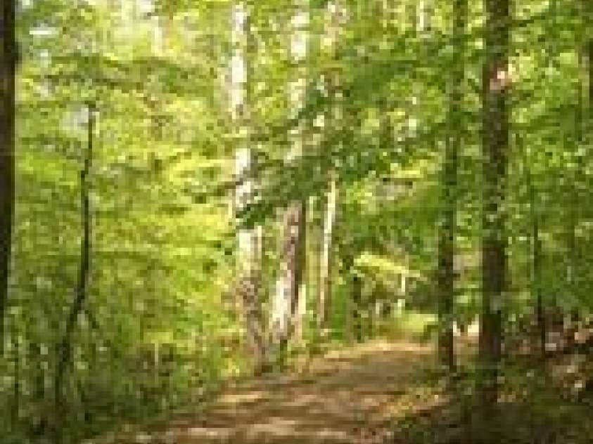 236 Mountain Island Drive, Statesville, NC 28677.  MLS# CAR4261234, YatesRealty ID 10418. Community Walking Trails
