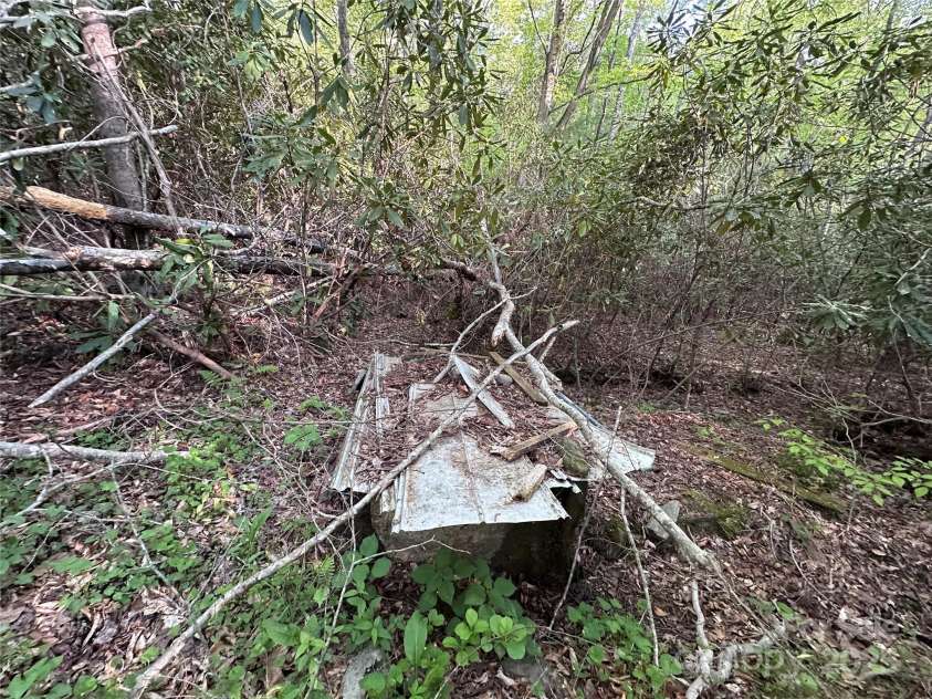 223 Shope Creek Road, Asheville, NC 28805.  MLS# CAR4252383, YatesRealty ID 10465. 