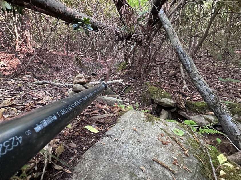 223 Shope Creek Road, Asheville, NC 28805.  MLS# CAR4252383, YatesRealty ID 10465. 