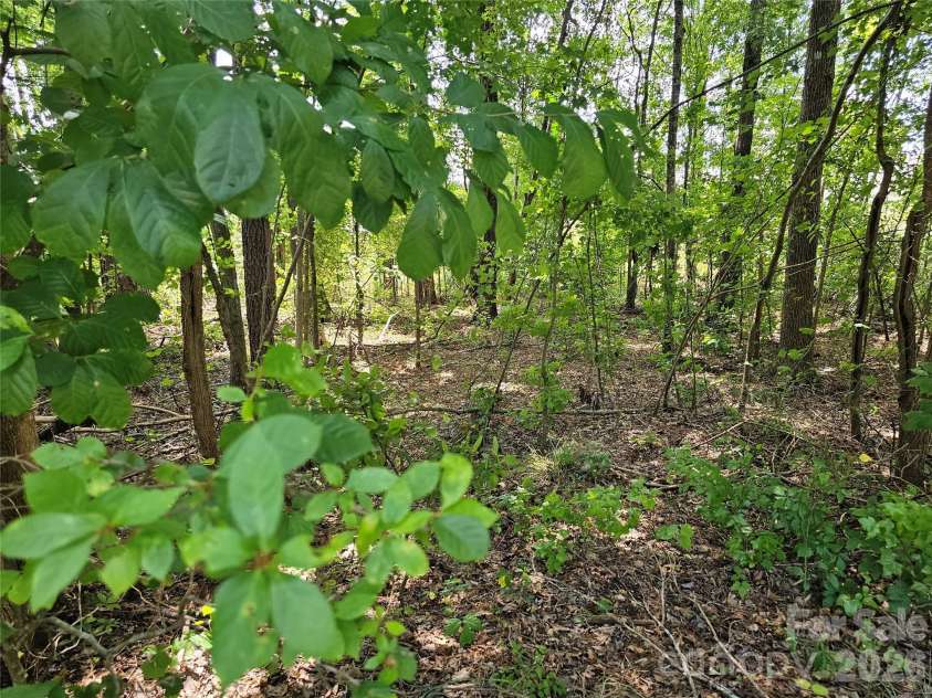 3486 Victorian Hills Drive, Richburg, SC 29729.  MLS# CAR4404160, YatesRealty ID 10535. Backyard Wooded Buffer