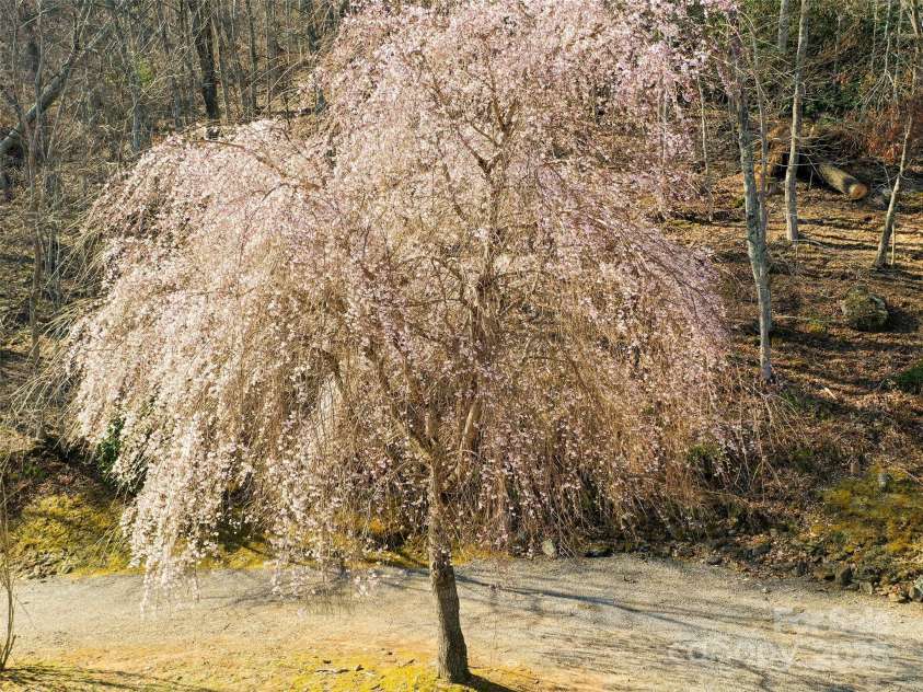 290 Tango Lane, Waynesville, NC 28786.  MLS# CAR4238478, YatesRealty ID 10589. 