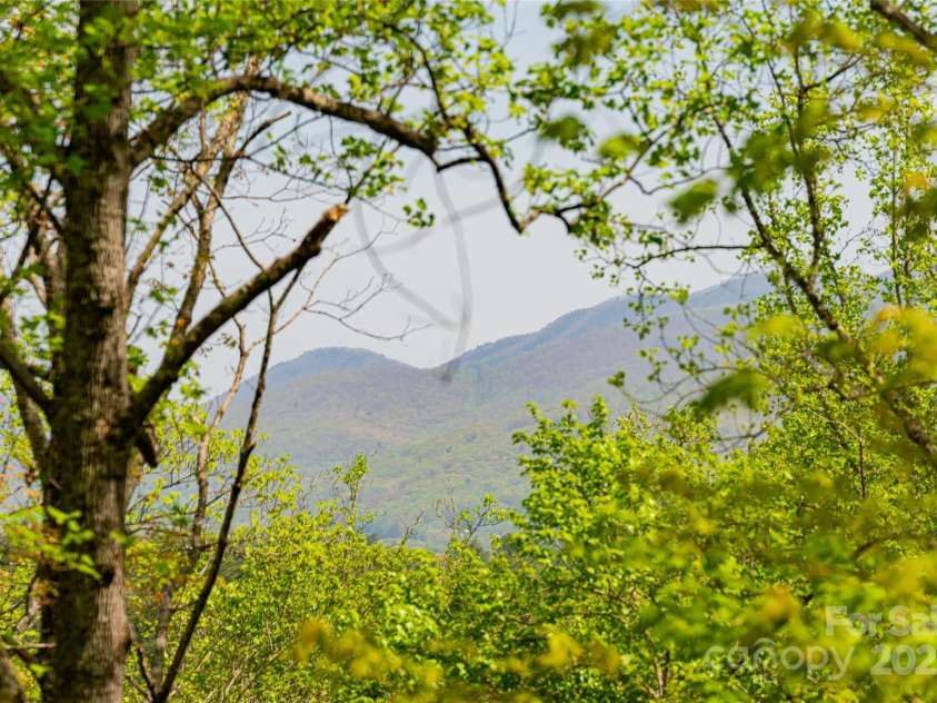 26 Hickory Top Lane, Asheville, NC 28805.  MLS# CAR4250259, YatesRealty ID 10614. 