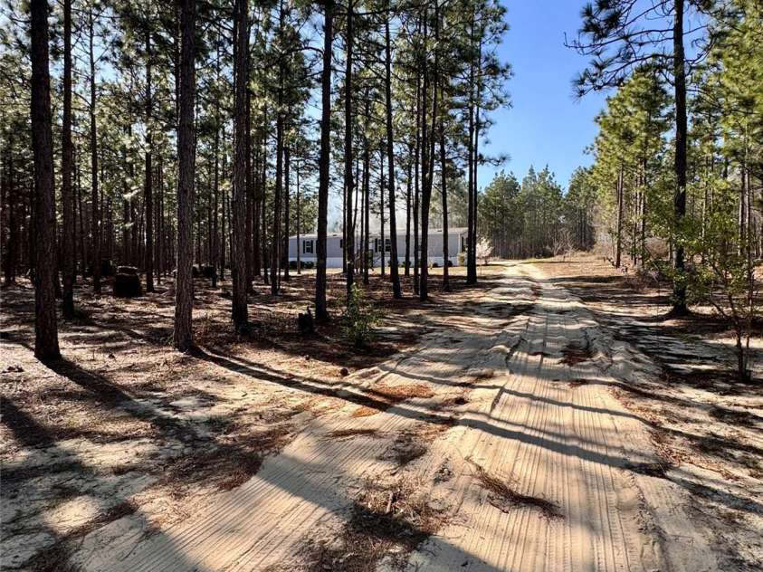 1266 Scott Road, Kershaw, SC 29067.  MLS# CAR4238168, YatesRealty ID 10635. Driveway to home