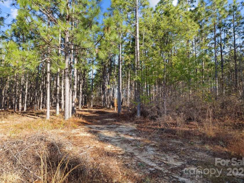 1266 Scott Road, Kershaw, SC 29067.  MLS# CAR4238168, YatesRealty ID 10635. Looking towards the back of the property behind the home.