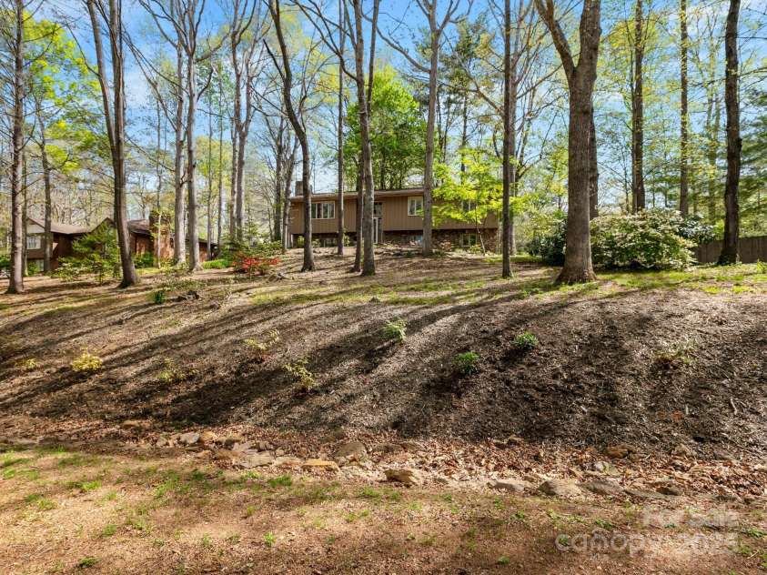 9 Cedar Trail, Asheville, NC 28803.  MLS# CAR4249342, YatesRealty ID 10651. Large .41 acre wooded lot